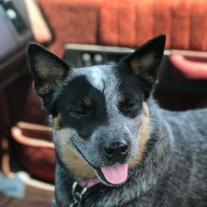 Meet your Posher, Roberta jo